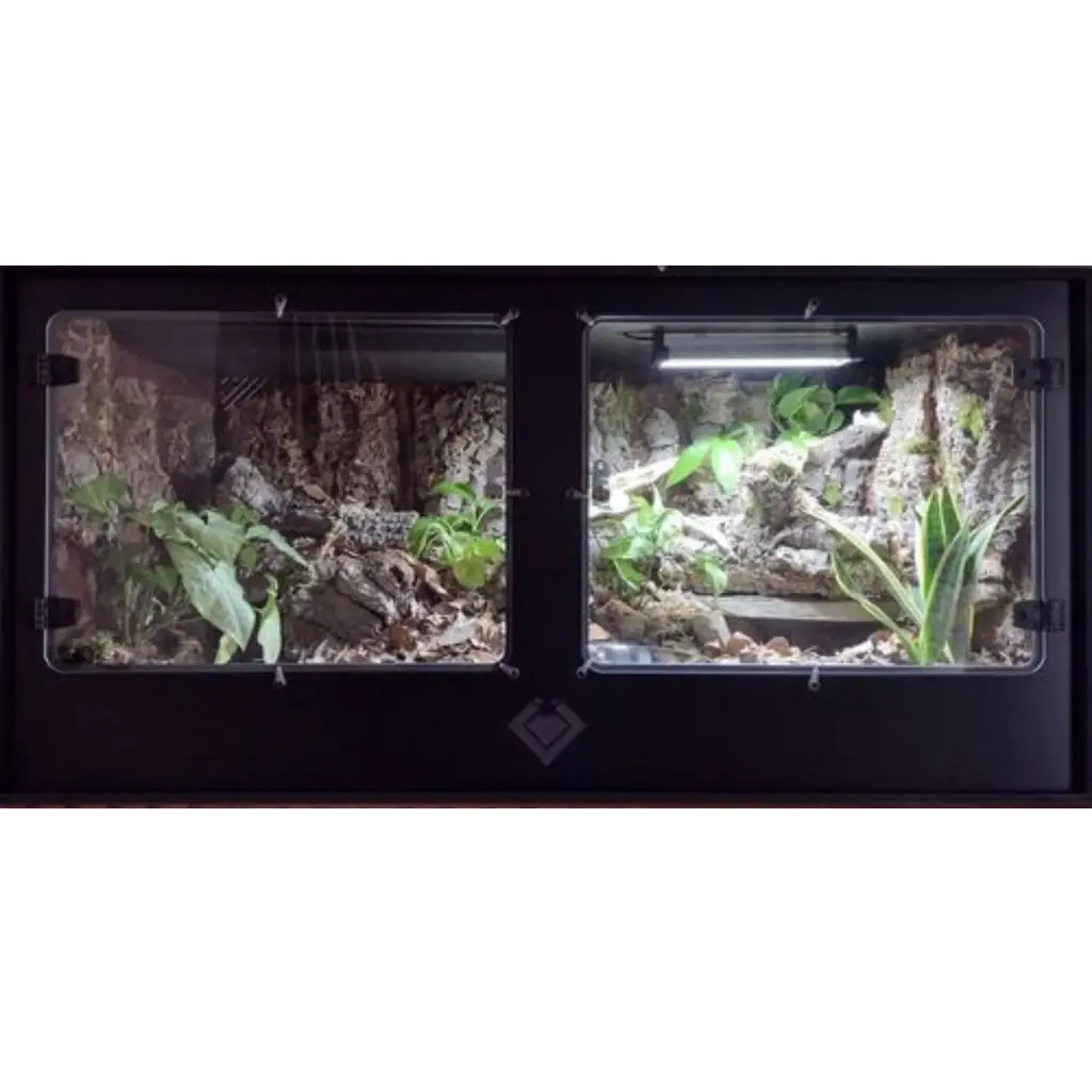 blackbox-xt4-black-reptile-enclosure-bioactive-build.webp