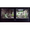 blackbox-xt4-black-reptile-enclosure-bioactive-build.webp
