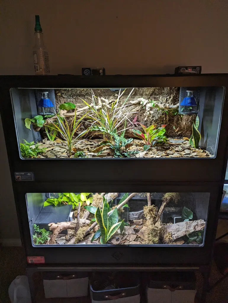blackbox-xt4-black-reptile-enclosure-48x24x24-sliding-window-lamp-holder-bioactive-build.webp