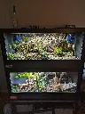blackbox-xt4-black-reptile-enclosure-48x24x24-sliding-window-lamp-holder-bioactive-build.webp