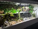 blackbox-xt4-white-reptile-enclosure-48x24x24-permshelf-RHP-LED-grow-bioactive-empty.webp