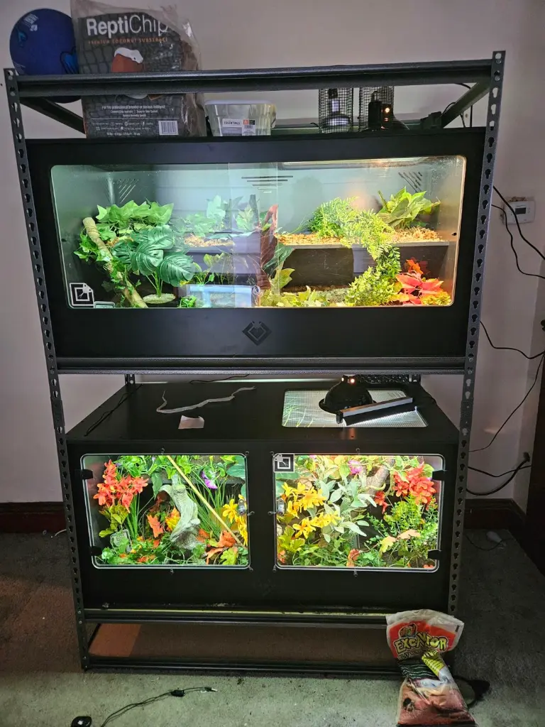 blackbox-xt4-black-reptile-enclosure-48x24x24-half-screen-top.webp