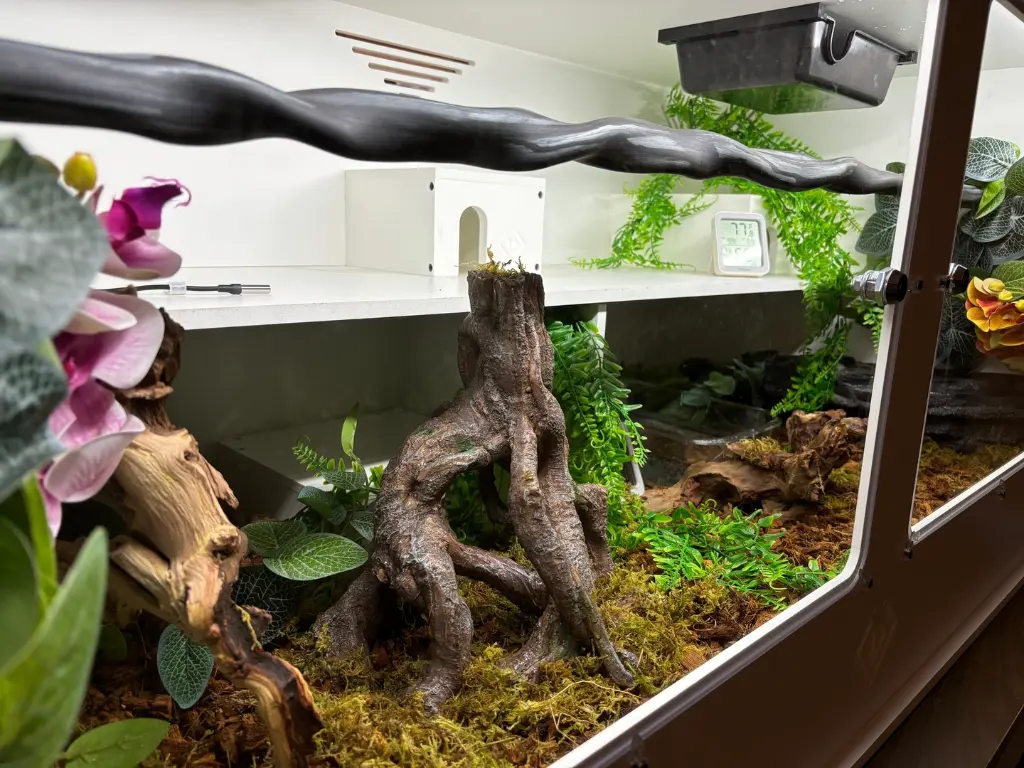 blackbox-xt4-white-reptile-enclosure-48x24x24-permshelf-perch-holders-side-view-build.webp