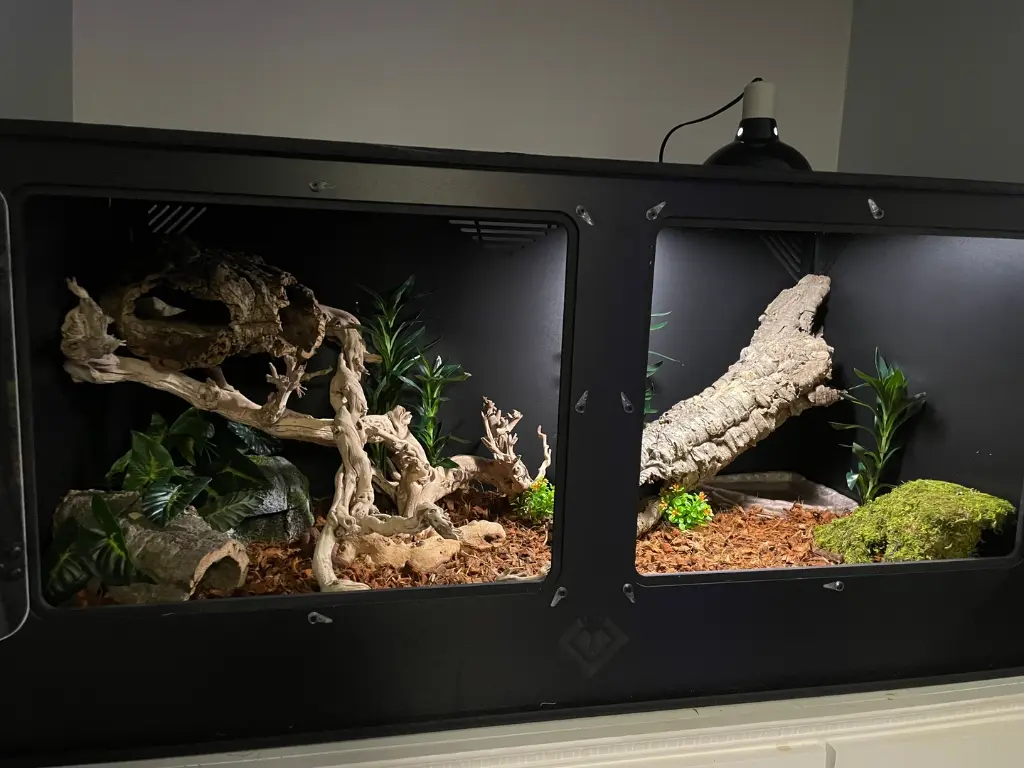 blackbox-xt4-black-reptile-enclosure-48x24x24-single-8.5-screen-cutout-build.webp