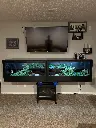 blackbox-xt4-black-reptile-enclosure-48x24x24-perm-shelf-floating-shelf-build.webp