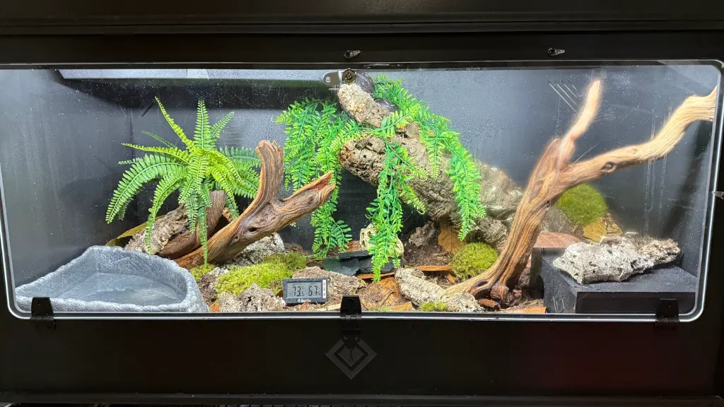 blackbox-xt4-black-reptile-enclosure-48x24x24-single-drop-down-build.webp