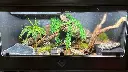 blackbox-xt4-black-reptile-enclosure-48x24x24-single-drop-down-build.webp