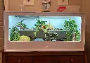 blackbox-xt4-white-reptile-enclosure-48x24x24-permshelf-RHP-LED.webp