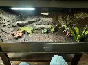 blackbox-xt4-black-reptile-enclosure-48x24x24-grow-bioactive-background.webp
