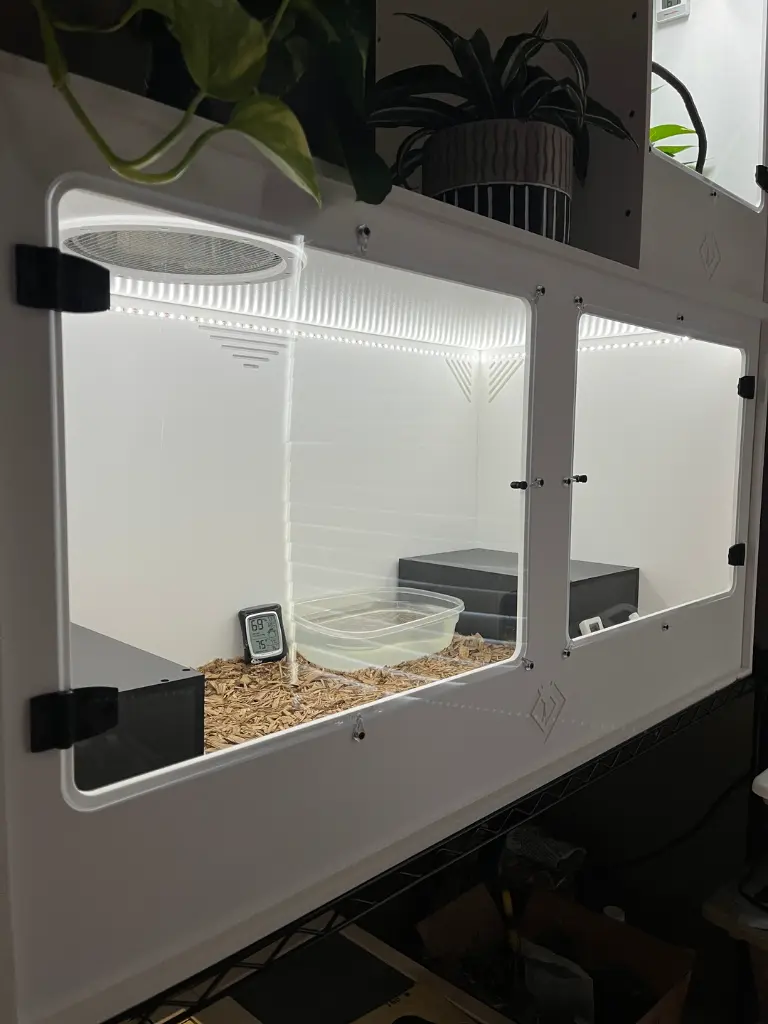 blackbox-xt4-white-reptile-enclosure-48x24x24-single-8.5-screen-cut-out-build.webp