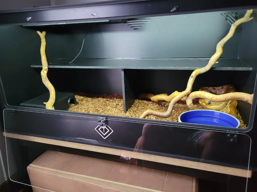 blackbox-xt4-black-reptile-enclosure-48x24x24-single-drop-window-permshelf-build.webp