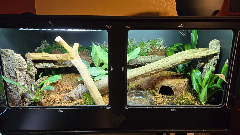 blackbox-xt4-black-reptile-enclosure-48x24x24-bioactive-logs.webp