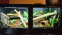 blackbox-xt4-black-reptile-enclosure-48x24x24-bioactive-logs.webp