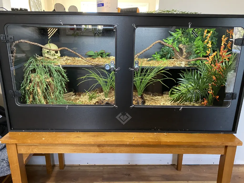 blackbox-xt4-black-reptile-enclosure-48x24x24-permshelf-perch-holders-build.webp