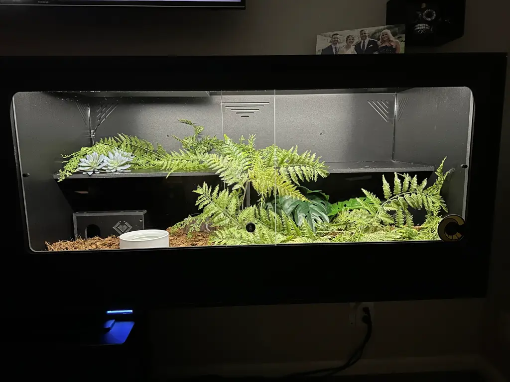 blackbox-xt4-black-reptile-enclosure-48x24x24-sliding-window-permshelf-build.webp