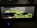 blackbox-xt4-black-reptile-enclosure-48x24x24-sliding-window-permshelf-build.webp