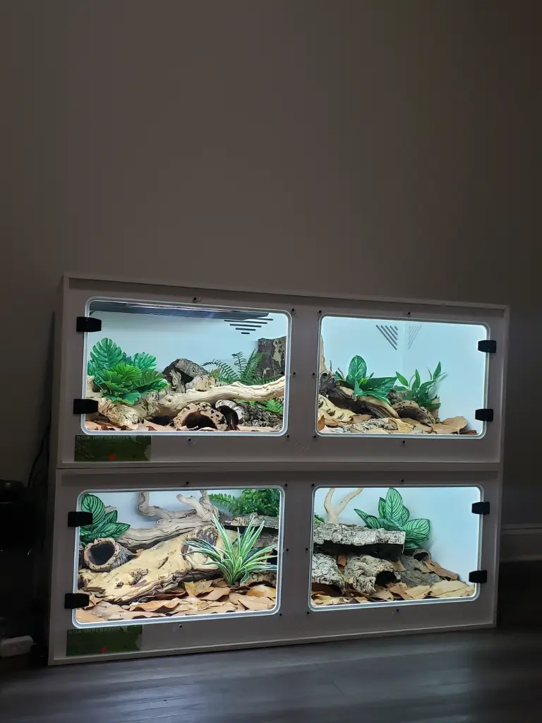 blackbox-xt4-white-reptile-enclosure-48x24x18-swing-out-windows-build.webp