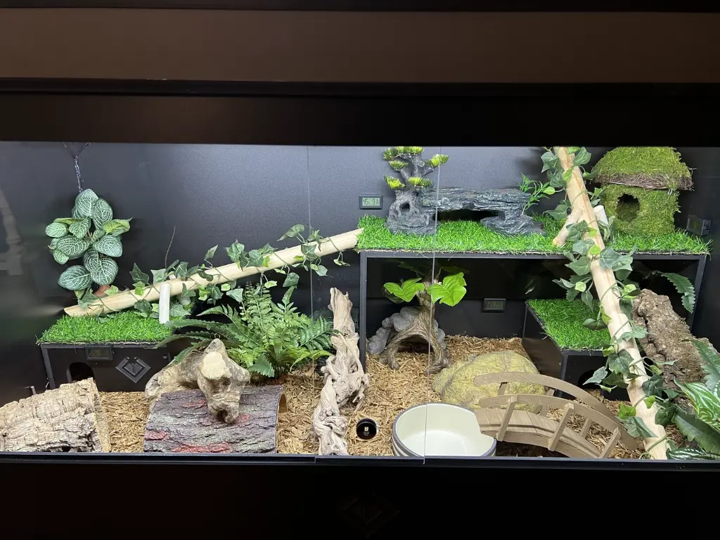 blackbox-xt4-black-reptile-enclosure-48x24x24-sliding-removable-shelf-build.webp