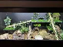 blackbox-xt4-black-reptile-enclosure-48x24x24-sliding-removable-shelf-build.webp
