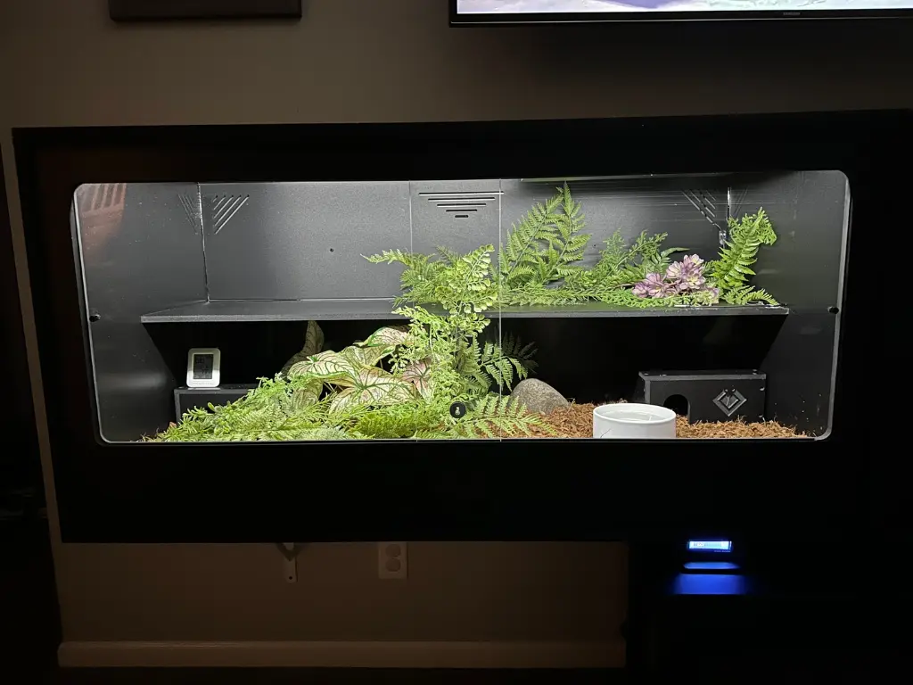 blackbox-xt4-black-reptile-enclosure-48x24x24-slider-permshelf-medium-hides-build.webp