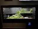 blackbox-xt4-black-reptile-enclosure-48x24x24-slider-permshelf-medium-hides-build.webp