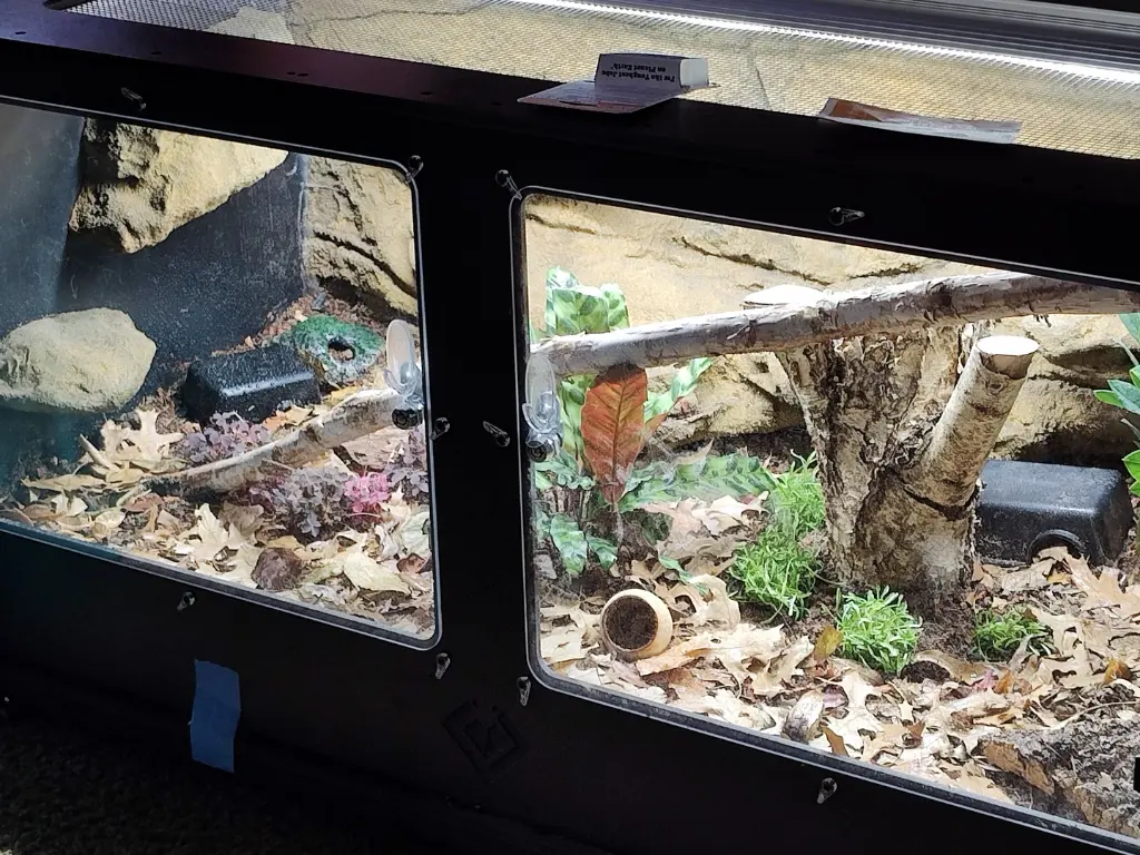 blackbox-xt4-black-reptile-enclosure-48x24x24-full-screen-top-build.webp