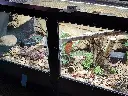 blackbox-xt4-black-reptile-enclosure-48x24x24-full-screen-top-build.webp