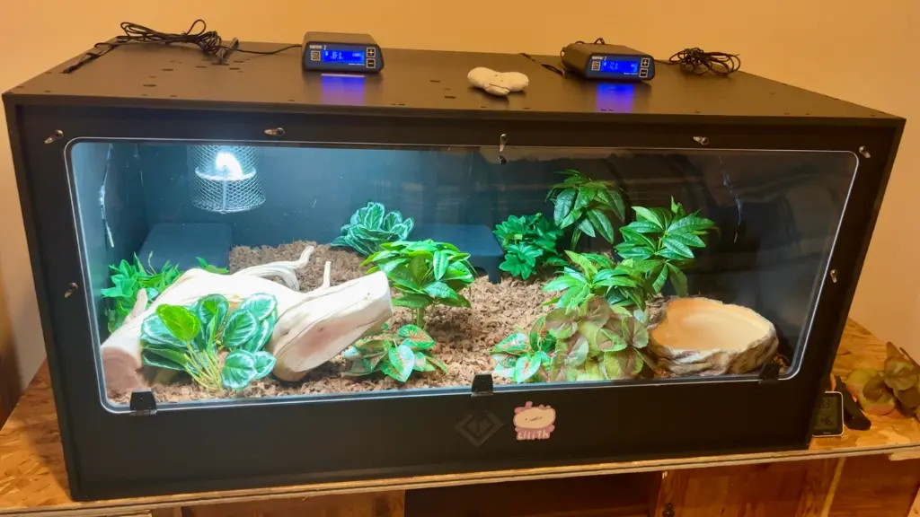 blackbox-xt4-black-reptile-enclosure-48x24x24-single-drop-uvb-lamp-holder-build.webp