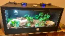 blackbox-xt4-black-reptile-enclosure-48x24x24-single-drop-uvb-lamp-holder-build.webp