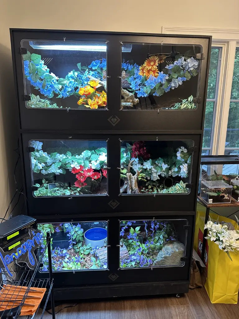blackbox-xt4-black-reptile-enclosure-48x24x24-artificial-3-stack-build.webp