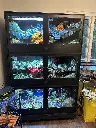 blackbox-xt4-black-reptile-enclosure-48x24x24-artificial-3-stack-build.webp