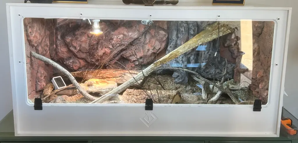 blackbox-xt4-white-reptile-enclosure-48x24x24-single-drop-window-lamp-holder-build.webp