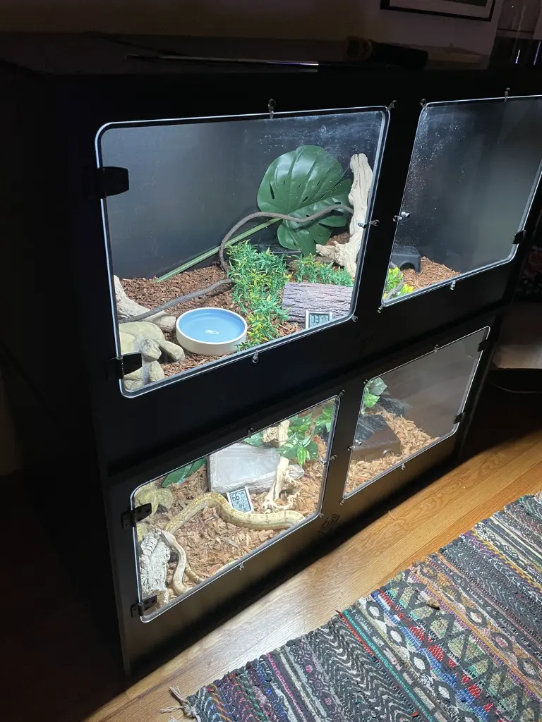 blackbox-xt4-black-reptile-enclosure-48x24x24-stacked-customer-build.webp