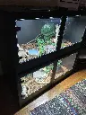 blackbox-xt4-black-reptile-enclosure-48x24x24-stacked-customer-build.webp
