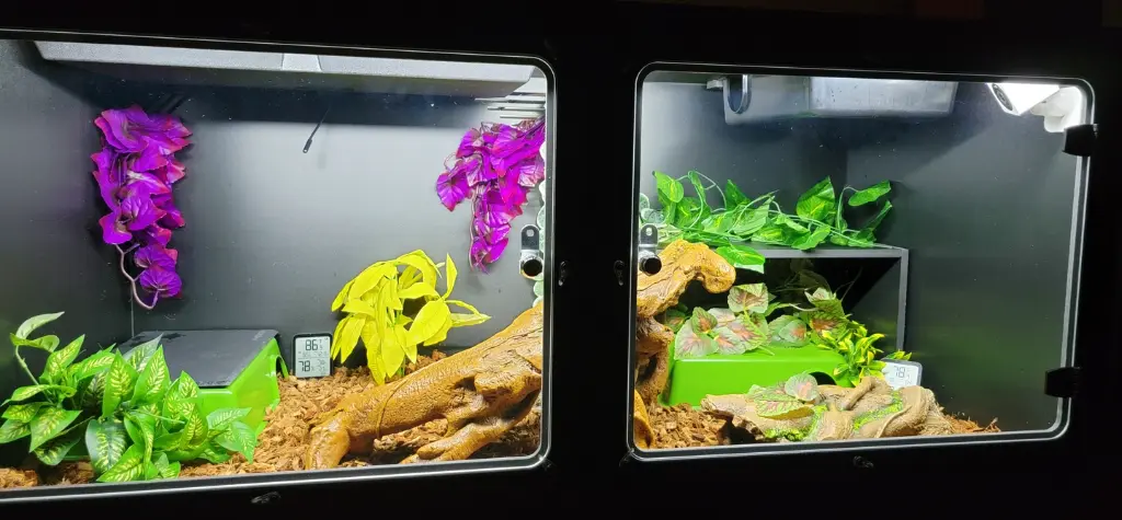 blackbox-xt4-black-reptile-enclosure-48x24x24-removable-shelf-build.webp