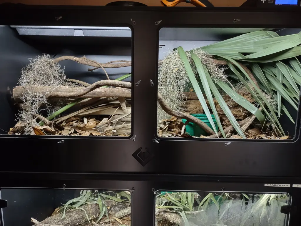 blackbox-xt4-black-reptile-enclosure-48x24x24-stacked-bioactive-build.webp