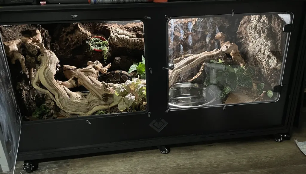 blackbox-xt4-black-reptile-enclosure-48x24x24-bioactive-dolly-build.webp