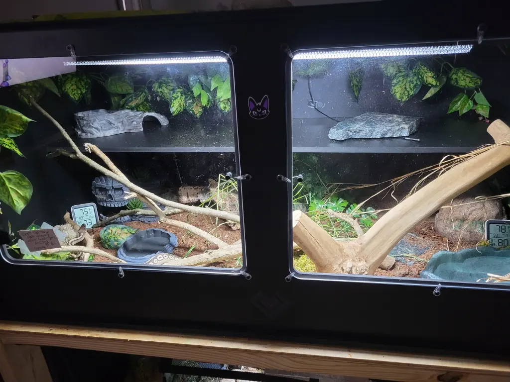 blackbox-xt4-black-reptile-enclosure-48x24x24-permshelf-RHP-LED-.webp