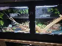 blackbox-xt4-black-reptile-enclosure-48x24x24-permshelf-RHP-LED-.webp