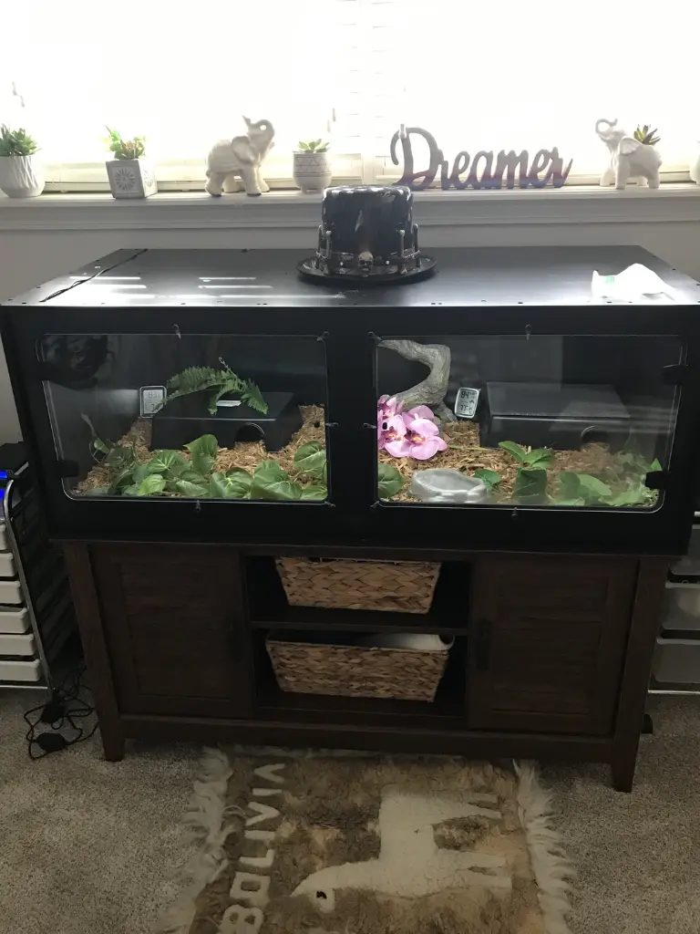 blackbox-xt4-black-reptile-enclosure-48x24x18-build.webp