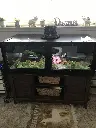 blackbox-xt4-black-reptile-enclosure-48x24x18-build.webp