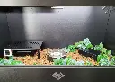 blackbox-xt4-black-reptile-enclosure-48x24x24-ball-python-build.webp