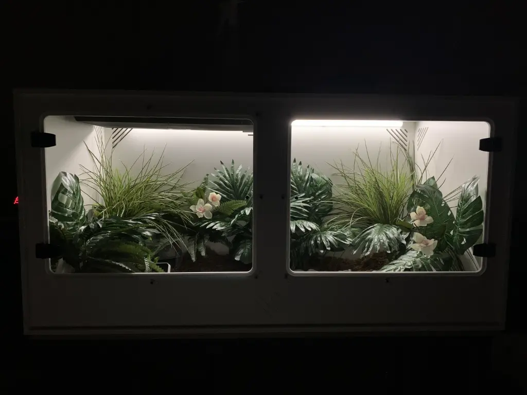 blackbox-xt4-white-reptile-enclosure-48x24x24-artificial-plant-build.webp