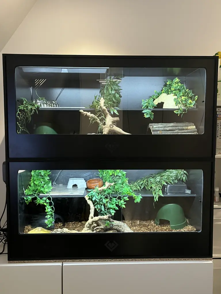blackbox-xt4-black-reptile-enclosure-slide-door-permshelf-build.webp