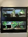 blackbox-xt4-black-reptile-enclosure-slide-door-permshelf-build.webp