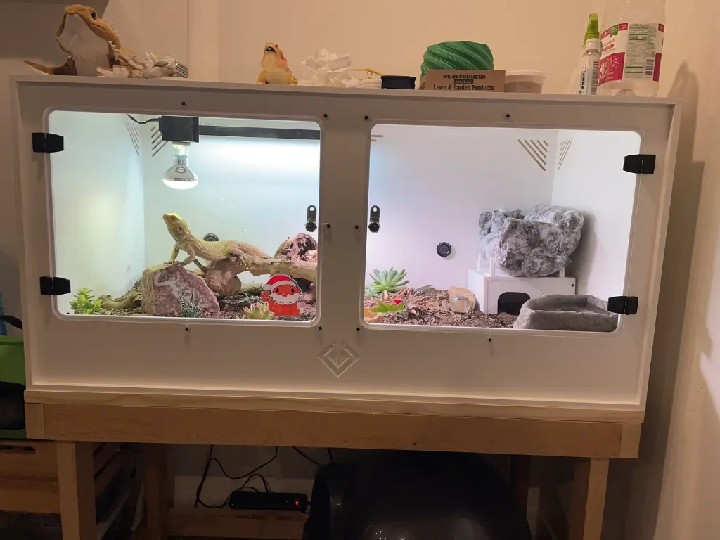 blackbox-xt4-white-reptile-enclosure-48x24x24-lamp-holder-uvb-build.webp