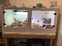 blackbox-xt4-white-reptile-enclosure-48x24x24-lamp-holder-uvb-build.webp