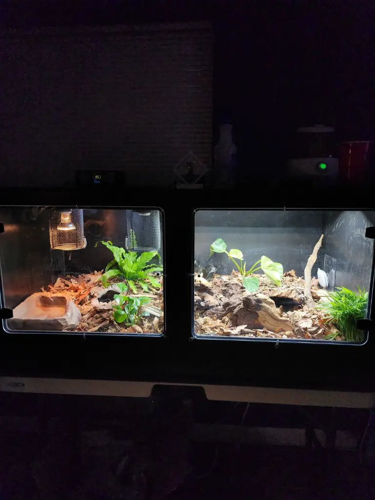 blackbox-xt4-black-reptile-enclosure-48x24x24-swing-out-windows-lamp-holders-uvb-build.webp