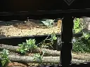 blackbox-xt4-black-reptile-enclosure-48x24x24-permshelf-snake-build.webp