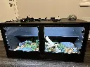 blackbox-xt4-black-reptile-enclosure-48x24x24-permshelf-RHP-LED-build.webp